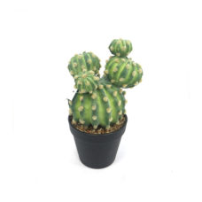 Kunstplant - Fake Cactus 2