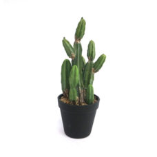 Kunstplant - Fake Cactus 4