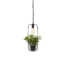Hanglamp met planthouder Florence - Zwart