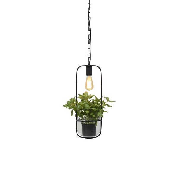 Hanglamp met planthouder Florence - Zwart