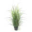 Nepplant - Gras met pot