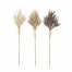 Bloomingville Decoratietakken set/3 - Multi Naturel