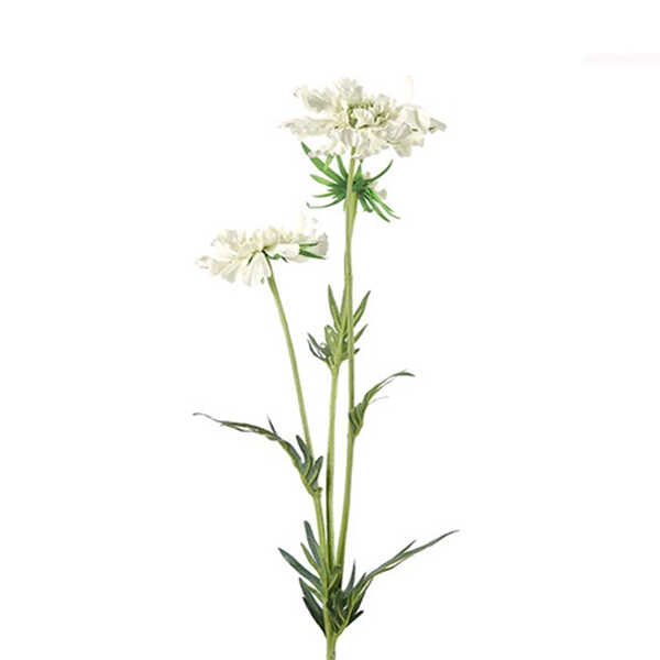 Kunsttak Scabiosa José 74cm - Crème