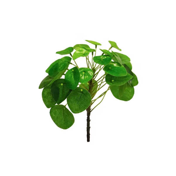 Kunsttak Pilea 23cm - Groen