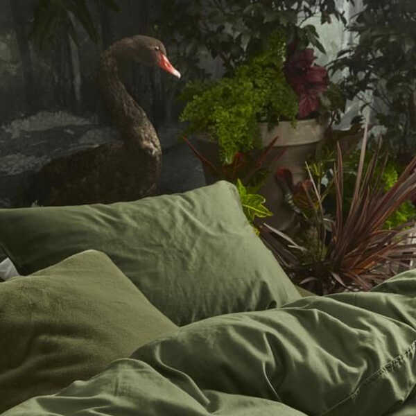 ESSENZA Dekbedovertrek Minte - Moss - Afbeelding 4