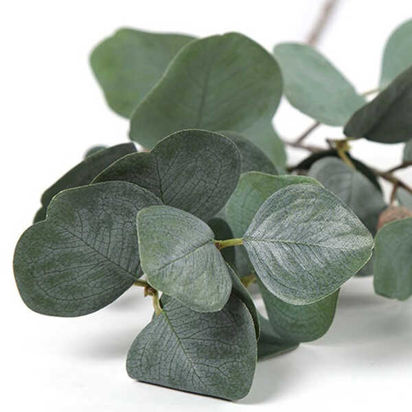 Kunsttak Myrtaceae Brent 79cm - Groen - Afbeelding 2