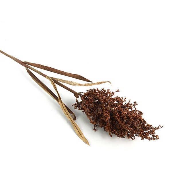 Kunsttak Panicum Miliaceum 89cm - Licht Bruin - Afbeelding 2