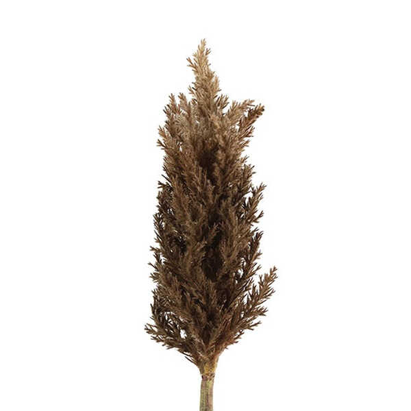 Kunsttak Astilbe 94cm - Bruin