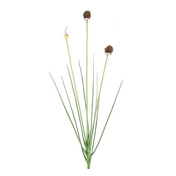 Kunsttak Allium Cepa 88cm - Bruin